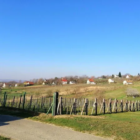 Apartment Ferienhaus Im Weinberg